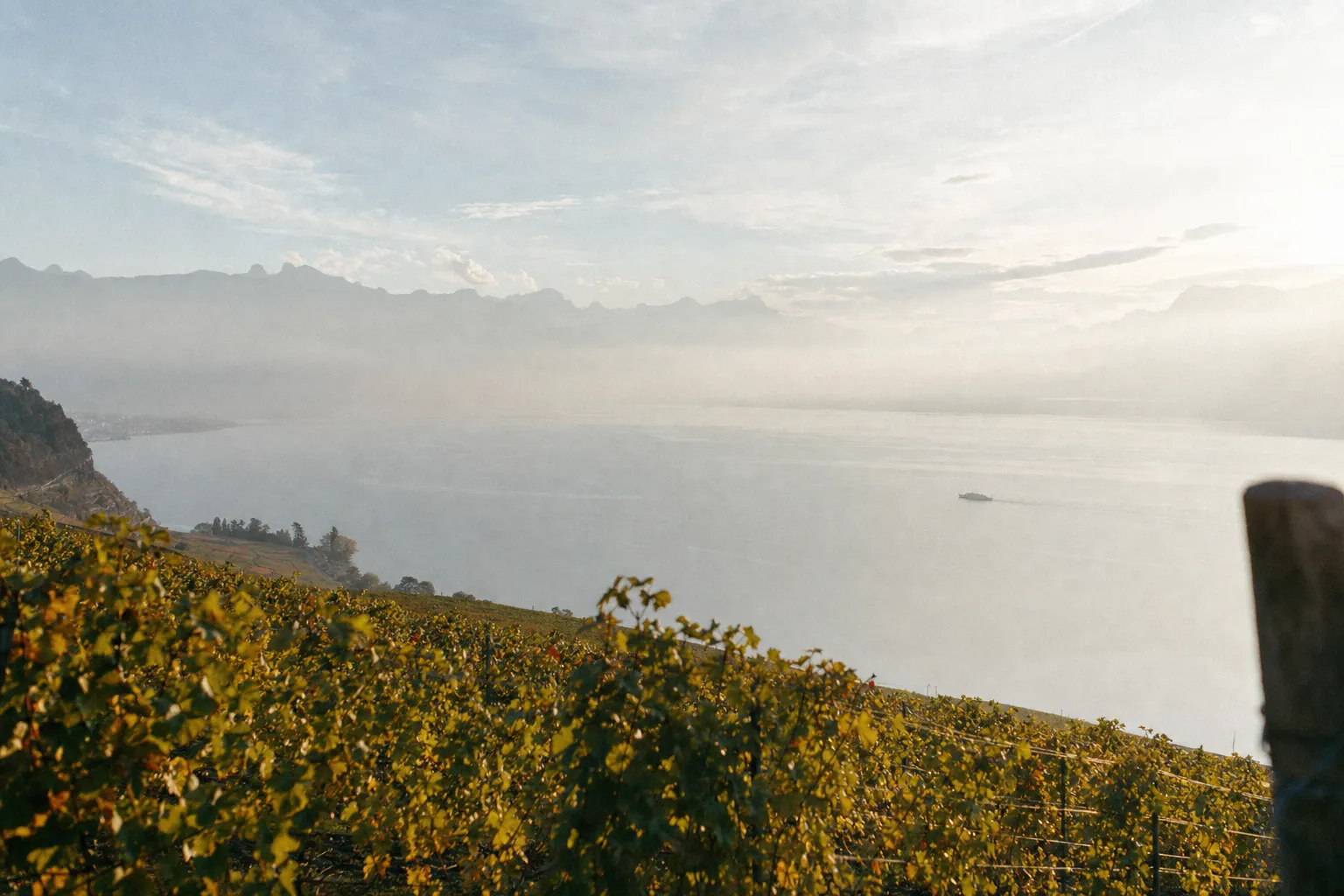 Brume du matin sur le Léman depuis les vignes au-dessus de Lutry